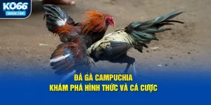 da-ga-campuchia-kham-pha-hinh-thuc-va-ca-cuoc