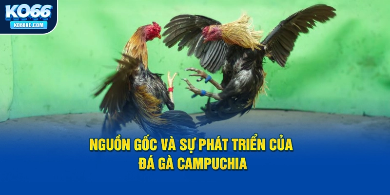 nguon-goc-va-su-phat-trien-cua-da-ga-campuchia