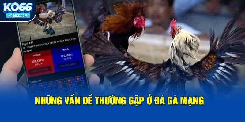 nhung-van-de-thuong-gap-o-da-ga-mang